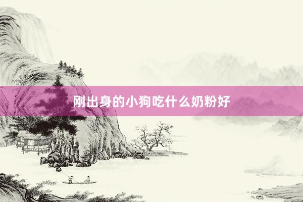 刚出身的小狗吃什么奶粉好